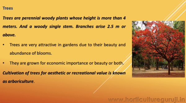 Landscape Use of Tree, Shrubs, Climbers and Annuals PPT - Image 2
